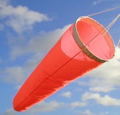 ถุงลมบอกทิศทาง